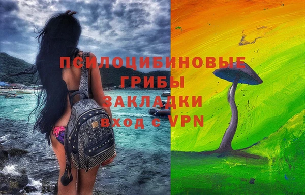 гашик Алзамай