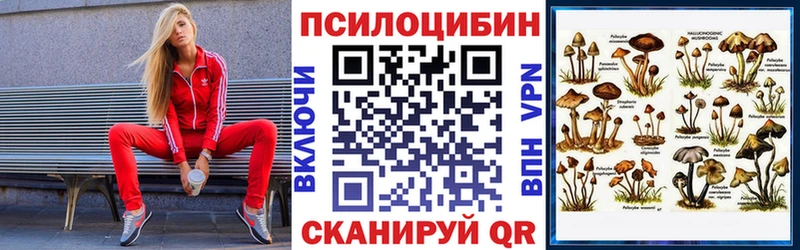 площадка какой сайт наркота Каргат Галлюциногенные грибы ЛСД
