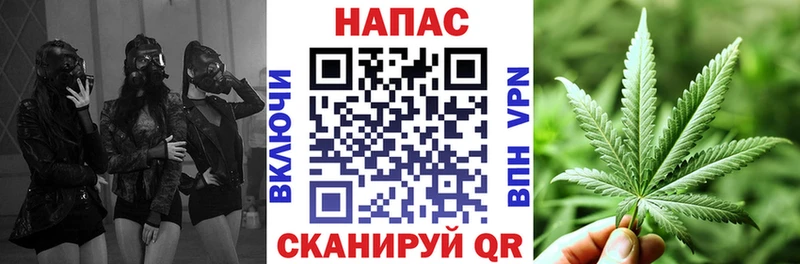 shop официальный сайт  Каргат  Бошки марихуана план 